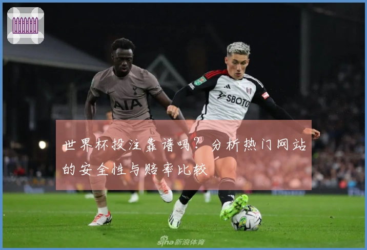 世界杯投注靠谱吗？分析热门网站的安全性与赔率比较