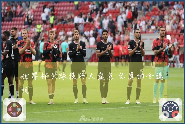 世界杯买球技巧大盘点 你真的会选吗