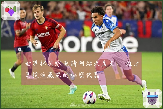 世界杯买球竞猜网站大盘点， 谁才是投注赢家的秘密武器