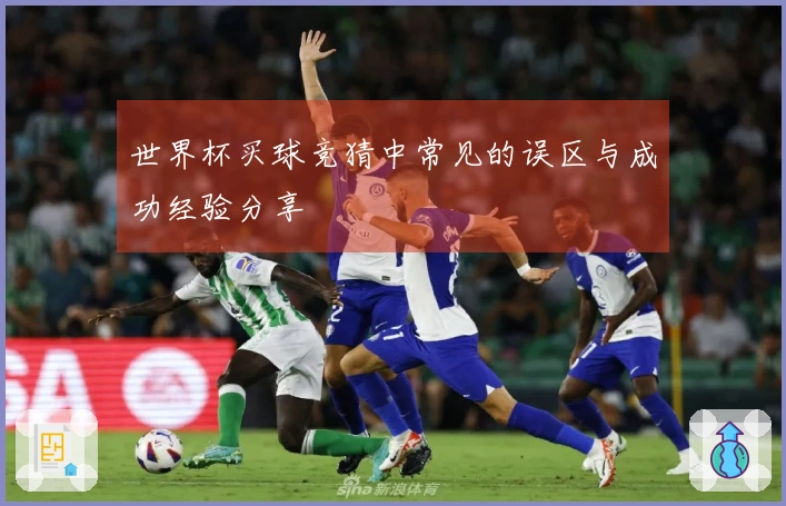 世界杯买球竞猜中常见的误区与成功经验分享
