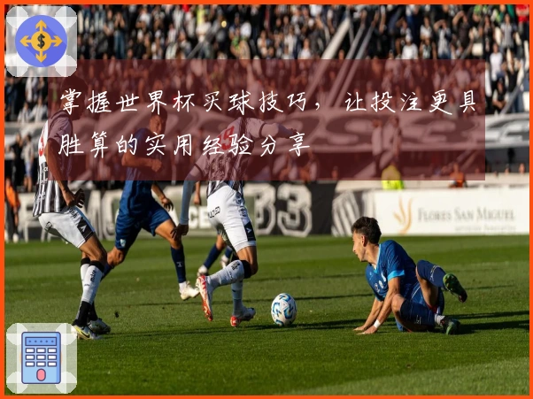 掌握世界杯买球技巧，让投注更具胜算的实用经验分享
