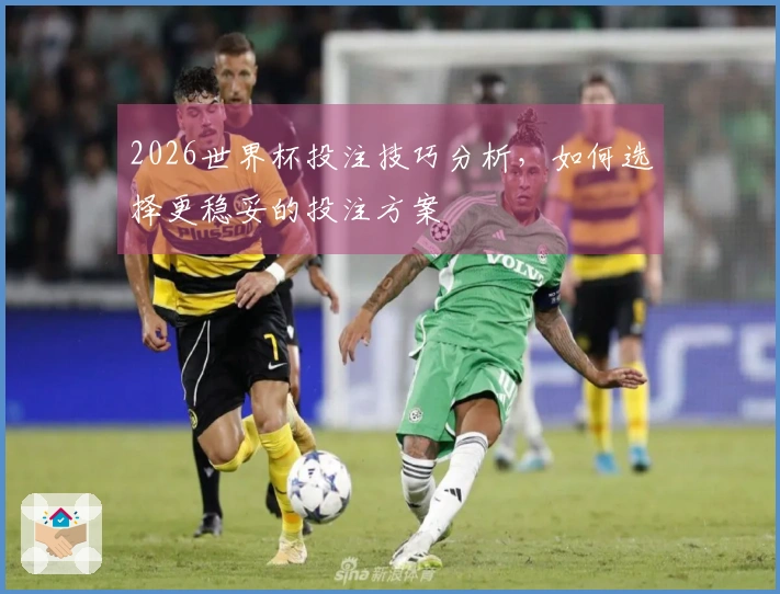 2026世界杯投注技巧分析，如何选择更稳妥的投注方案