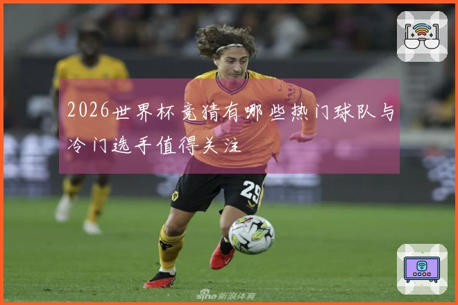 2026世界杯竞猜有哪些热门球队与冷门选手值得关注