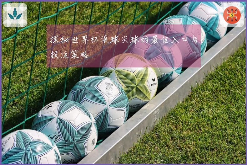 探秘世界杯滚球买球的最佳入口与投注策略