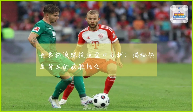 世界杯滚球投注盘口分析：揭秘热度背后的获胜机会
