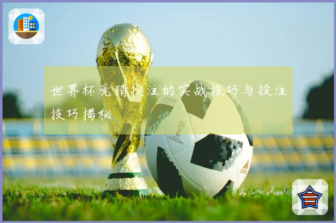 世界杯竞猜投注的实战技巧与投注技巧揭秘