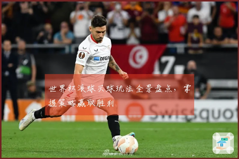 世界杯滚球买球玩法全景盘点，掌握策略赢取胜利