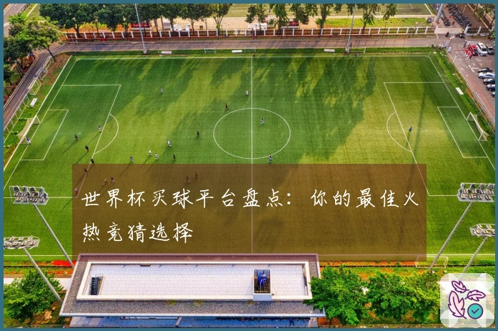 世界杯买球平台盘点：你的最佳火热竞猜选择