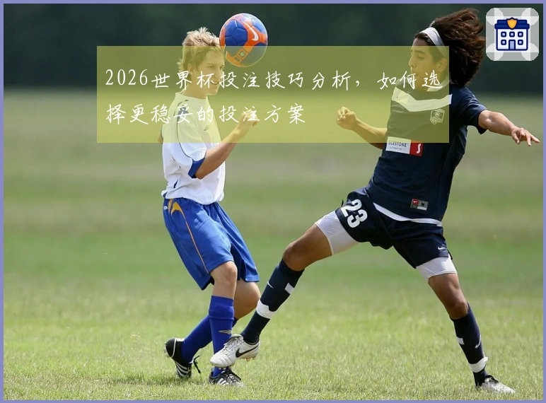 2026世界杯投注技巧分析，如何选择更稳妥的投注方案