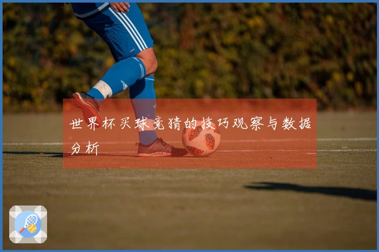 世界杯买球竞猜的技巧观察与数据分析
