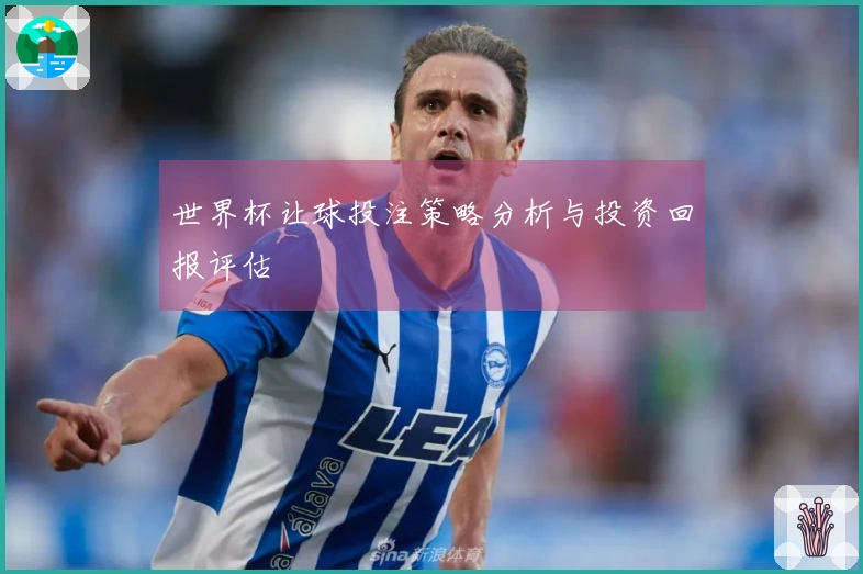 世界杯让球投注策略分析与投资回报评估