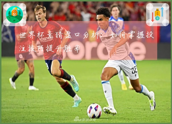 世界杯竞猜盘口分析:如何掌握投注技巧提升胜率