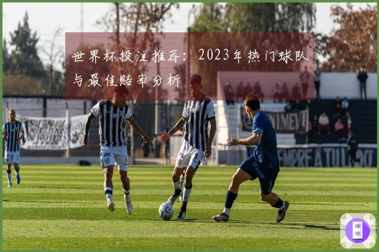 世界杯投注推荐：2023年热门球队与最佳赔率分析