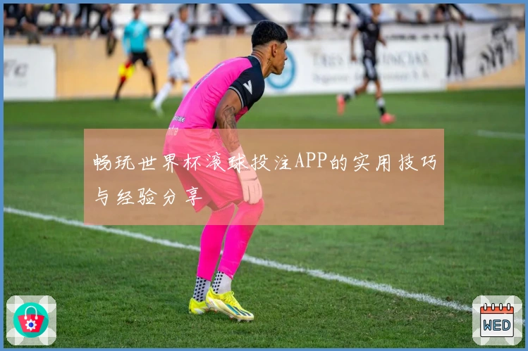 畅玩世界杯滚球投注APP的实用技巧与经验分享