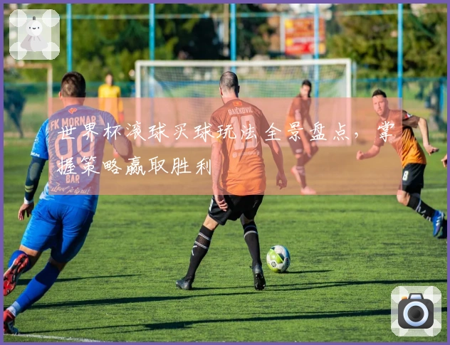 世界杯滚球买球玩法全景盘点，掌握策略赢取胜利
