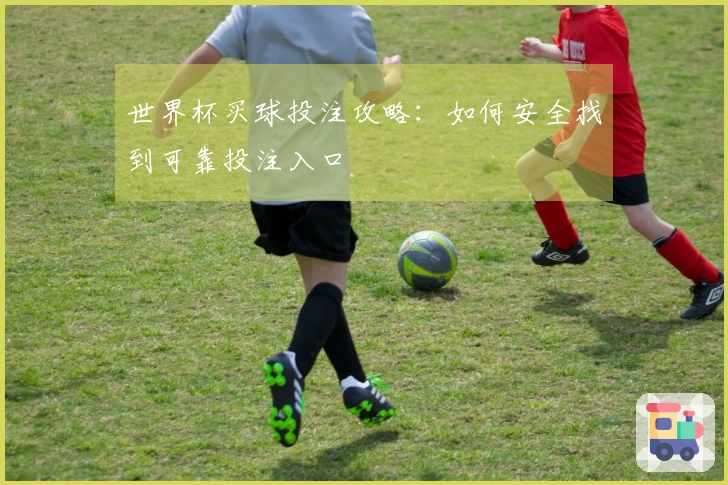 世界杯买球投注攻略：如何安全找到可靠投注入口