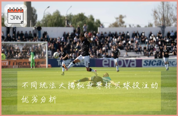 不同玩法大揭秘世界杯买球投注的优劣分析
